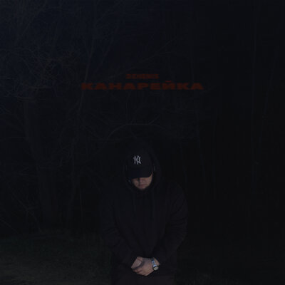 Текст песни Канарейка — DZHENIS
